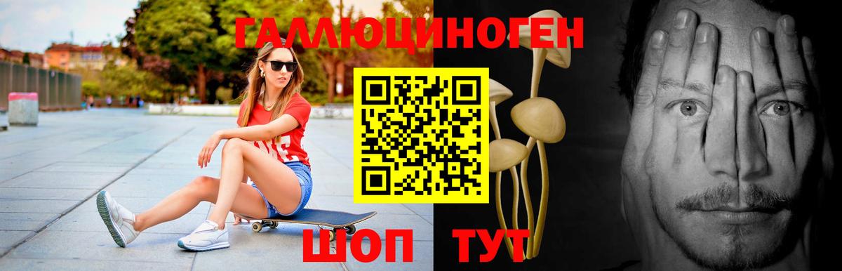 Ногинск  Псилоцибиновые грибы MAGIC MUSHROOMS  Вход с VPN  Галлюциногенные грибы Psilocybe 
